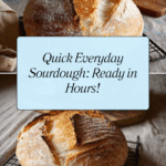Speedy Same Day Sourdough Bread Recipe