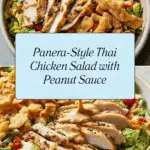 Panera Thai Chicken Salad Recipe