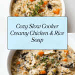 Slow Cooker Creamy Chicken and Rice Soup Recipe