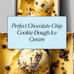 Chocolate Chip Cookie Dough Ice Cream Recipe