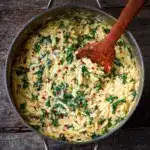 Creamy Garlic Parmesan Orzo Recipe