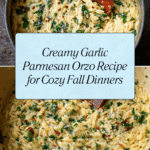 Creamy Garlic Parmesan Orzo Recipe