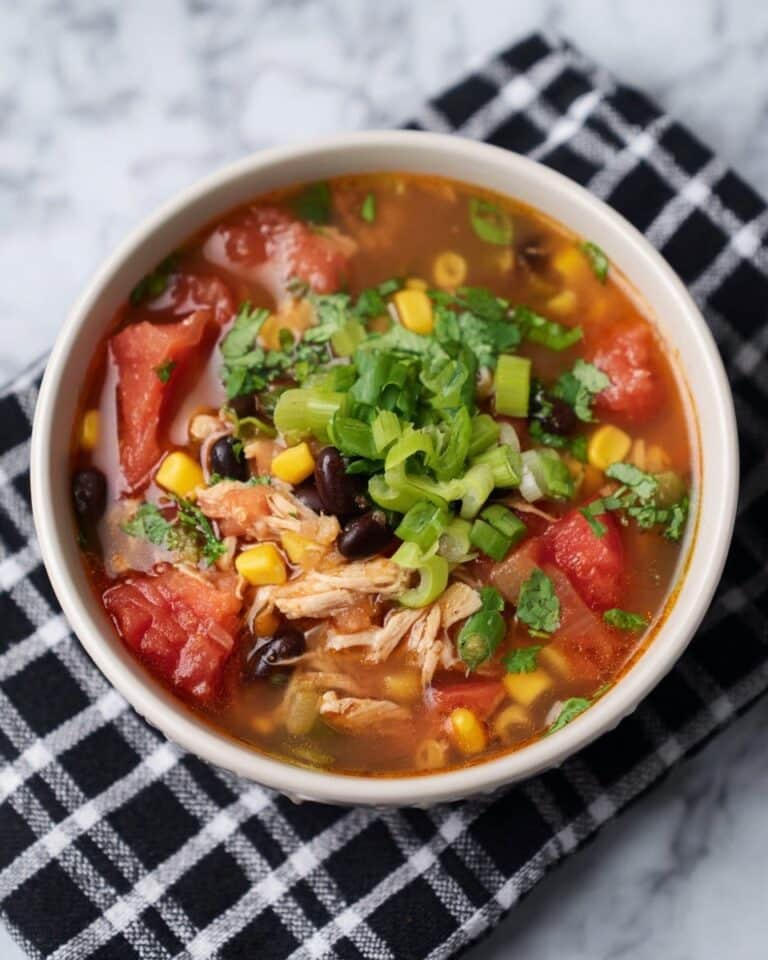 Instant Pot Baja Chicken Soup Recipe
