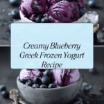 Blueberry Greek Frozen Yogurt Recipe