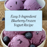 Three Ingredient Blueberry Frozen Yogurt Recipe